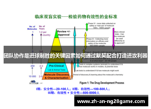 团队协作是进球制胜的关键因素如何通过默契配合打造进攻利器