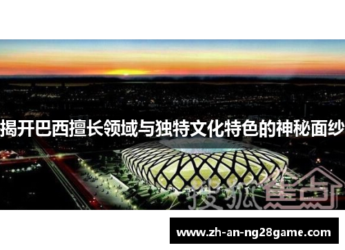 揭开巴西擅长领域与独特文化特色的神秘面纱