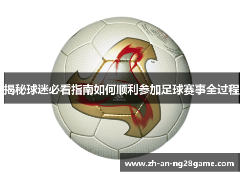 揭秘球迷必看指南如何顺利参加足球赛事全过程