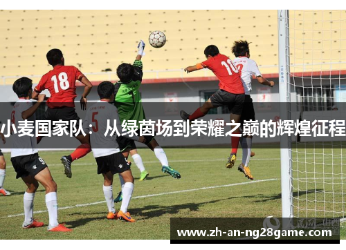 小麦国家队：从绿茵场到荣耀之巅的辉煌征程
